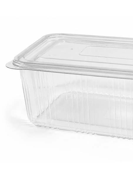 Envase de Plástico PET con Tapa Bisagra