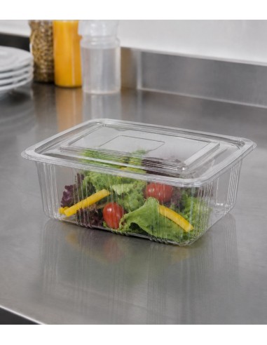 Envase de Plástico PET con Tapa Bisagra