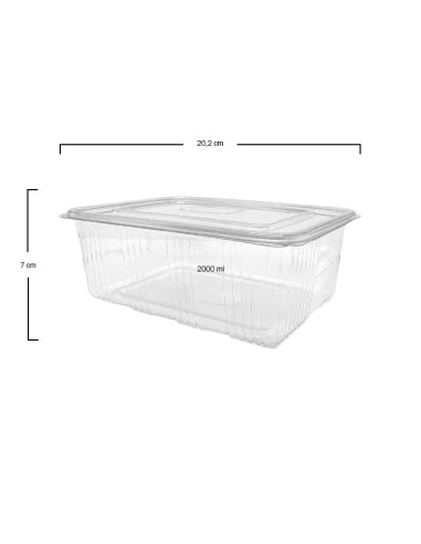 Envase de Plástico PET con Tapa Bisagra