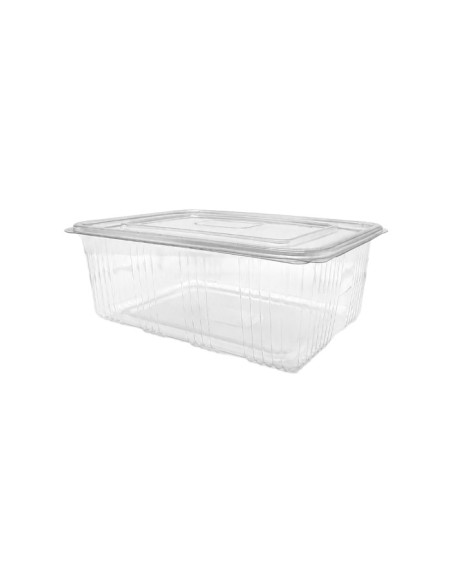 Envase de Plástico PET con Tapa Bisagra